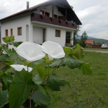 Guesthouse Matija Irinovac Dış mekan fotoğraf