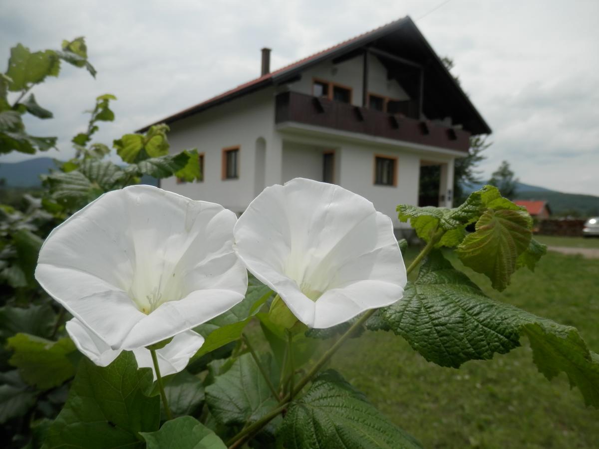 Guesthouse Matija Irinovac Dış mekan fotoğraf